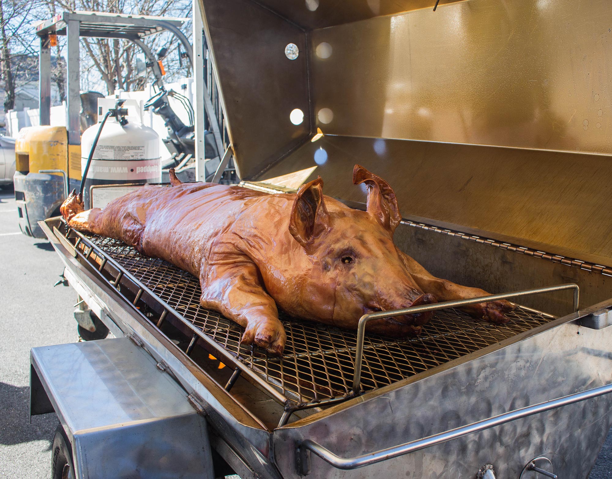 Whole pig on Meadow Creek Pig Roaster