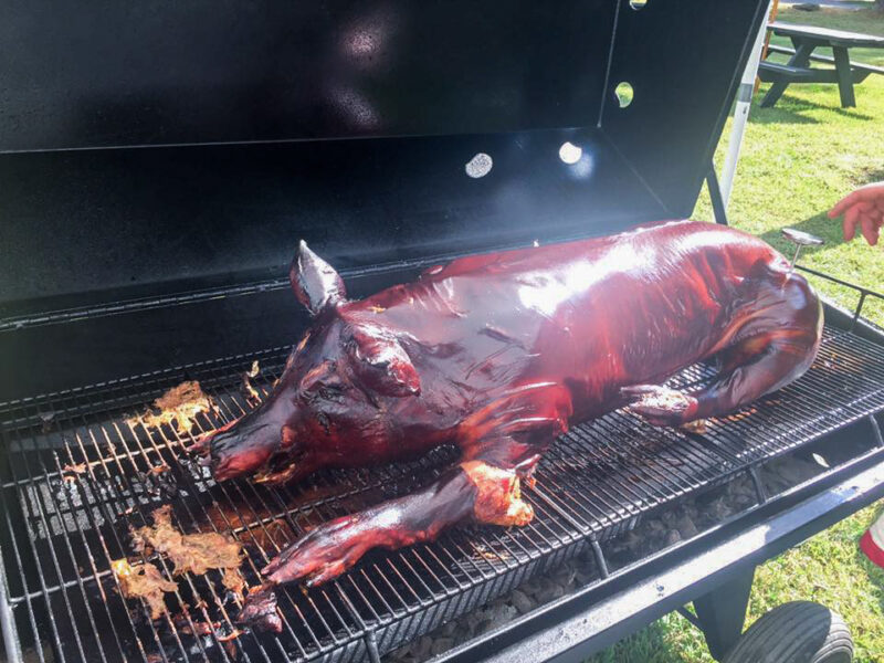 Whole Hog on a Meadow Creek Pig Roaster