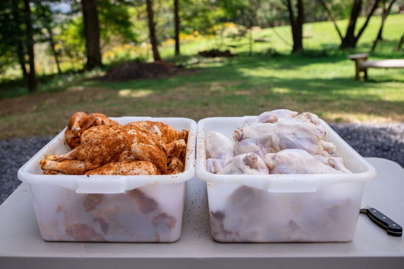 Prepping Chickens